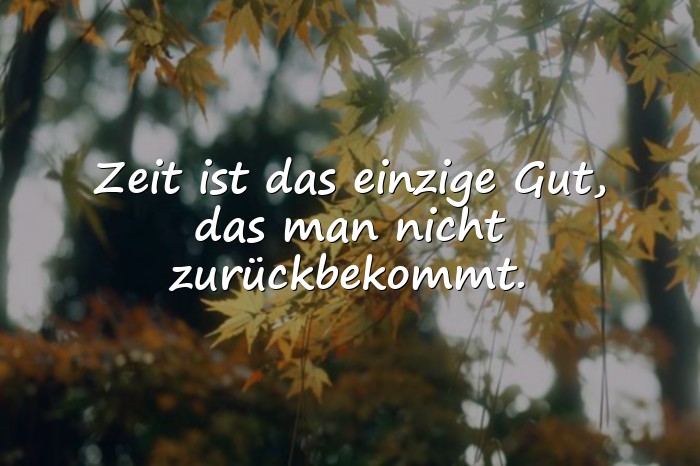 Bilder mit sprüche zum leben - 9