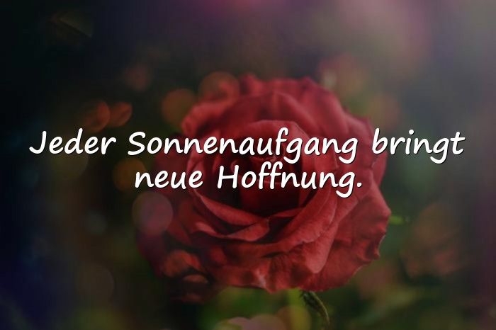 Bilder mit sprüche zum leben - 16