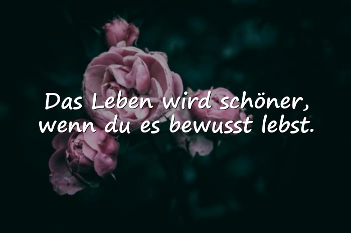 Bilder mit sprüche zum leben - 11