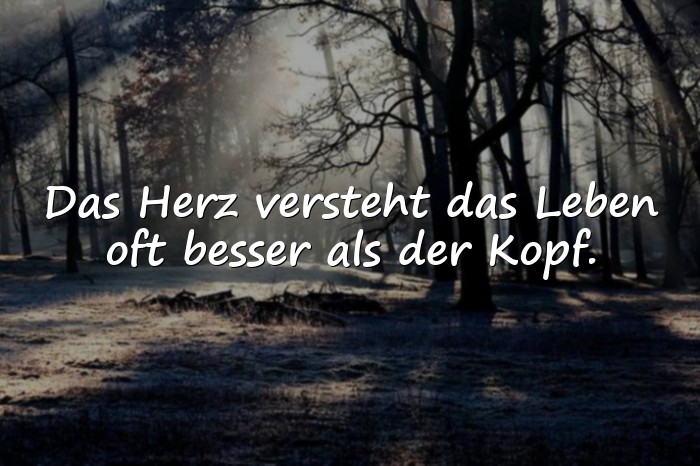 Bilder mit sprüche zum leben - 5