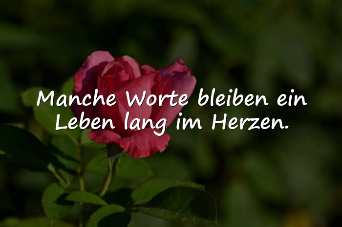 Bilder mit sprüche zum nachdenken - 10