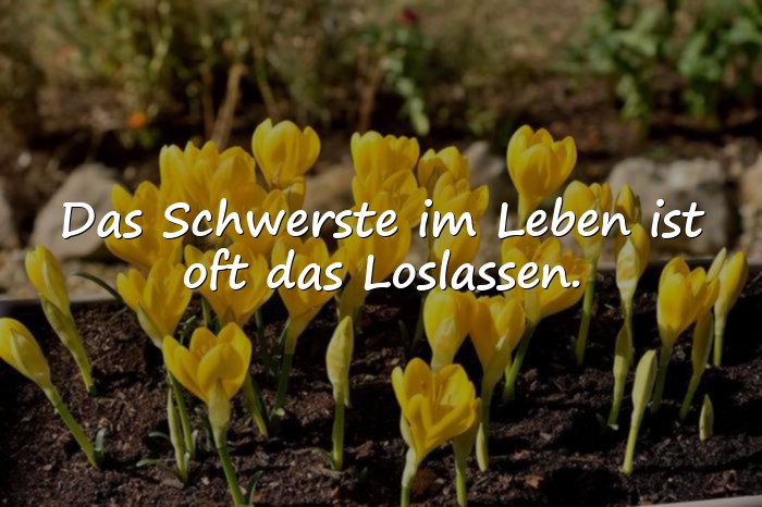 Bilder mit sprüche zum nachdenken - 5