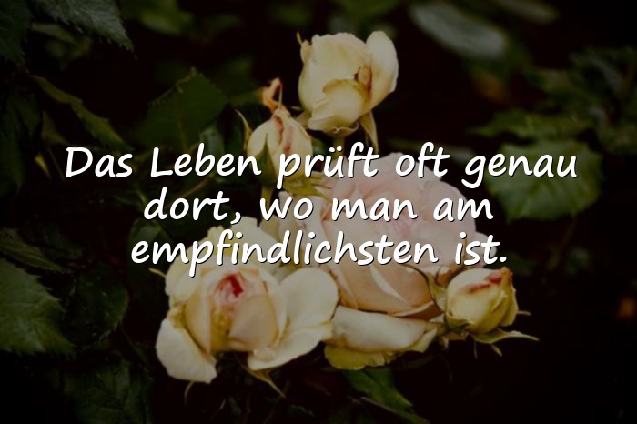 Bilder mit sprüche zum nachdenken - 17