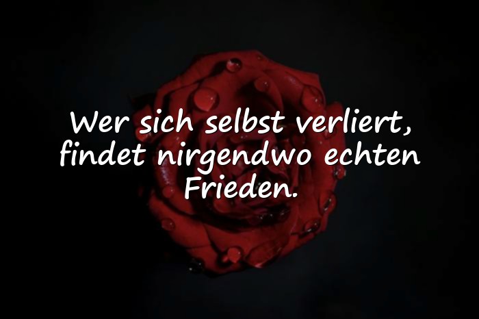 Bilder mit sprüche zum nachdenken - 8