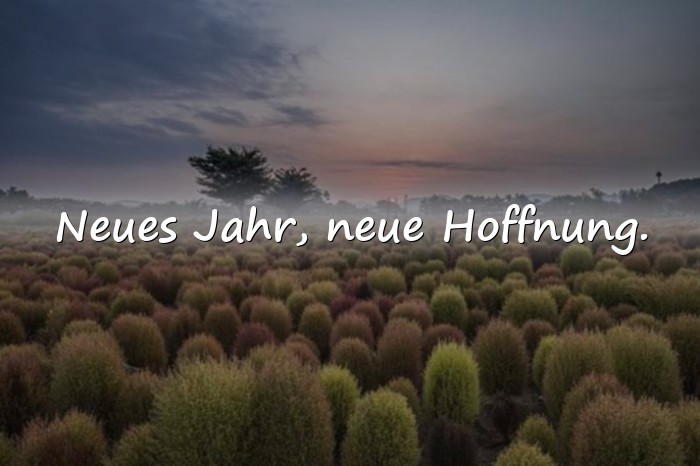 Bilder mit sprüche zum neuen jahr - 10
