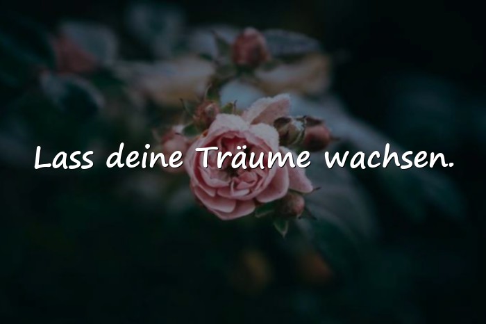 Bilder mit sprüche zum neuen jahr - 6