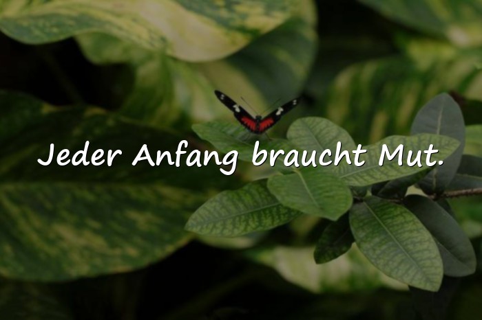 Bilder mit sprüche zum neuen jahr - 2