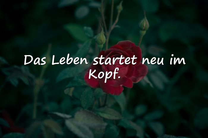 Bilder mit sprüche zum neuen jahr - 19