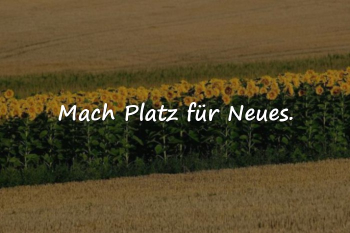 Bilder mit sprüche zum neuen jahr - 11