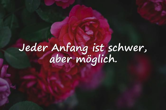 Bilder mit sprüche zum neuen jahr - 4