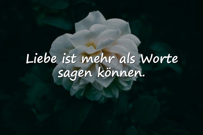 Bilder mit sprüche zur liebe - 6