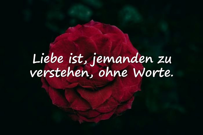 Bilder mit sprüche zur liebe - 19