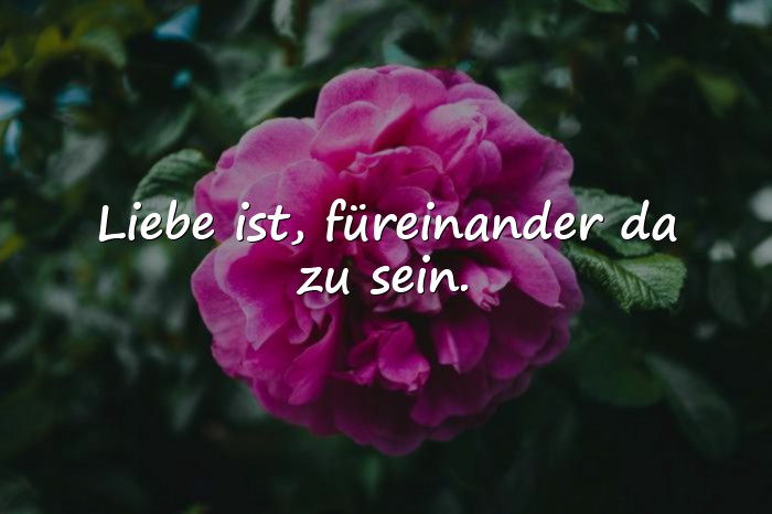 Bilder mit sprüche zur liebe - 15