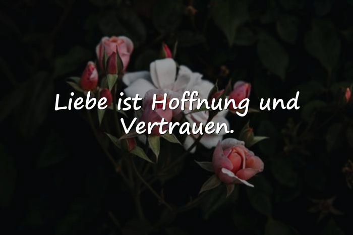 Bilder mit sprüche zur liebe - 13