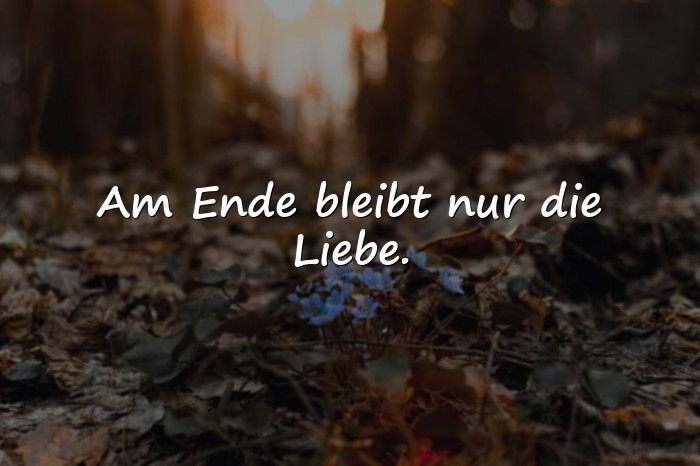 Bilder mit sprüche zur liebe - 1