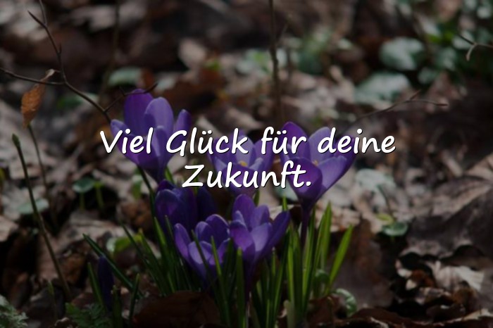 Bilder mit sprüche zur verabschiedung - 11