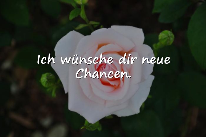 Bilder mit sprüche zur verabschiedung - 10