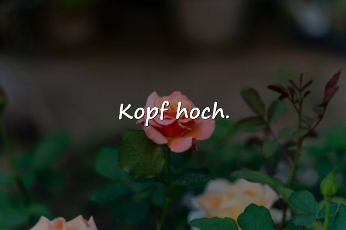 Bilder mit status sprüche - 15