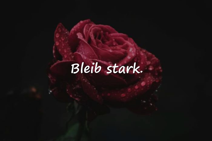 Bilder mit status sprüche - 13