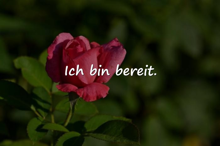 Bilder mit status sprüche - 2