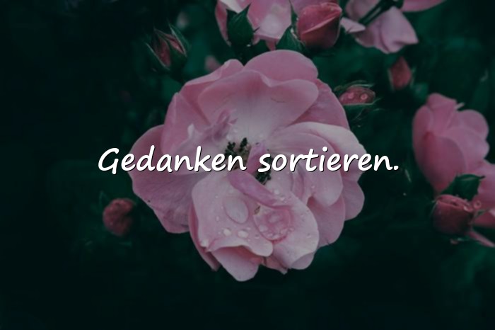 Bilder mit status sprüche - 2