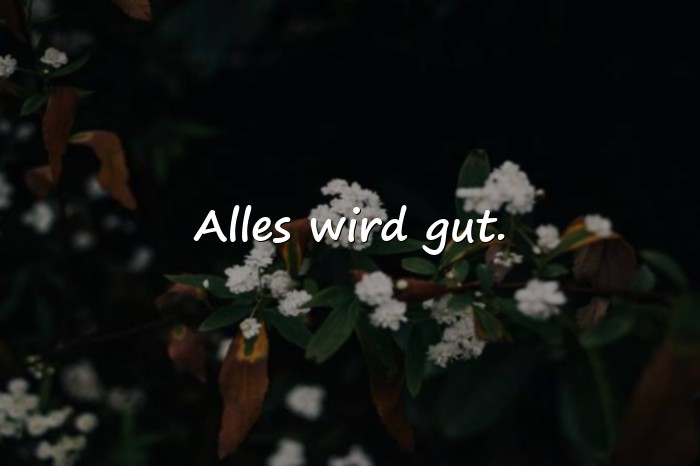 Bilder mit status sprüche - 1