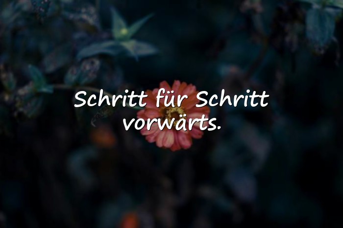 Bilder mit status sprüche - 23