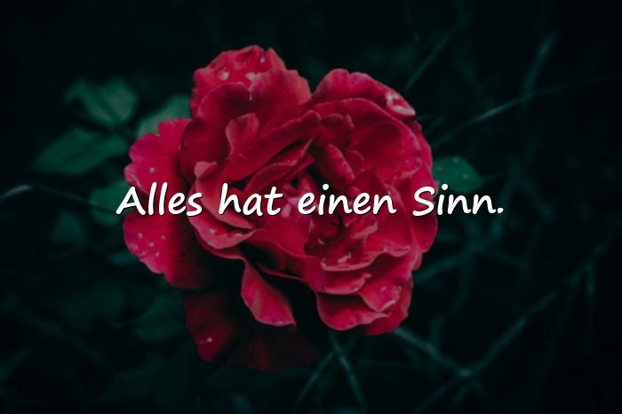 Bilder mit status sprüche - 21