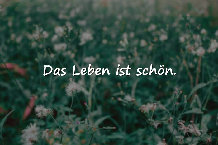 Bilder mit status sprüche - 19