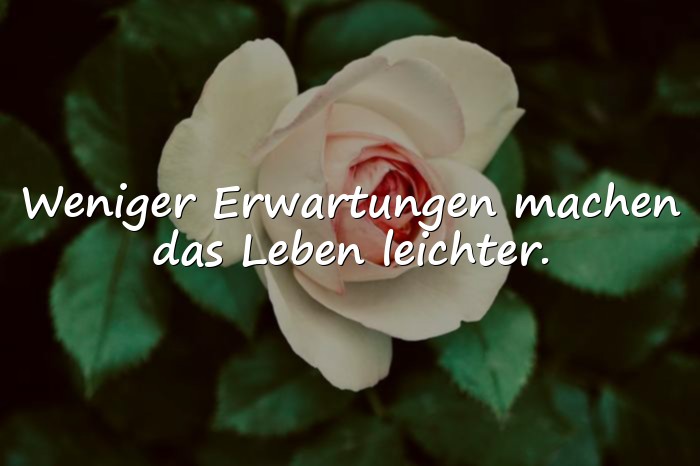 Bilder mit status sprüche whatsapp - 20