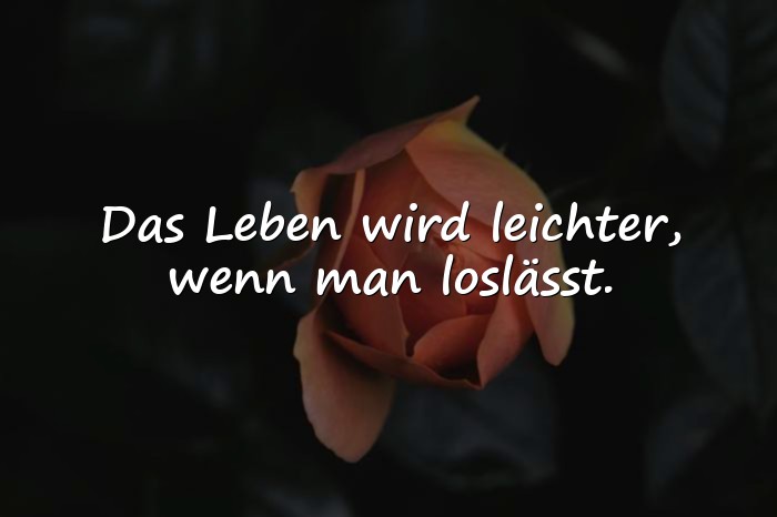 Bilder mit status sprüche whatsapp - 10