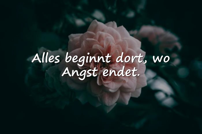 Bilder mit status sprüche whatsapp - 6