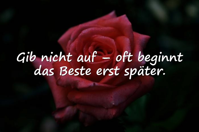 Bilder mit status sprüche whatsapp - 1