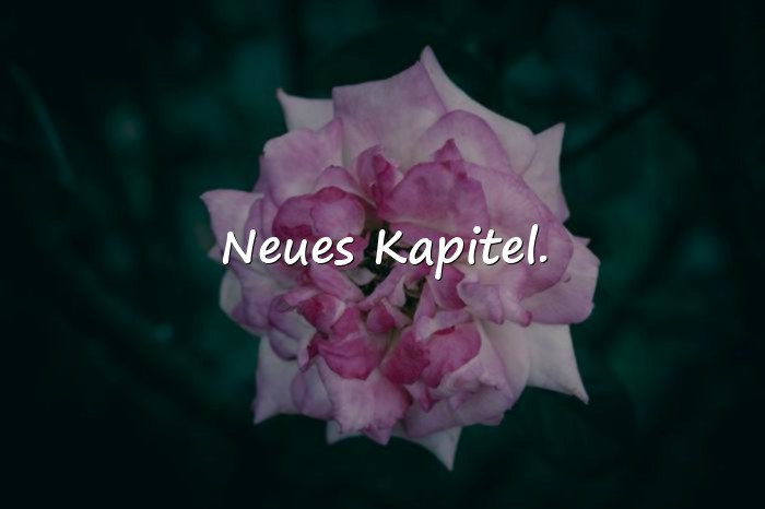 Bilder mit status sprüche whatsapp - 18