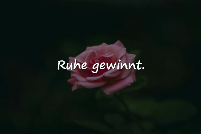 Bilder mit status sprüche whatsapp - 15