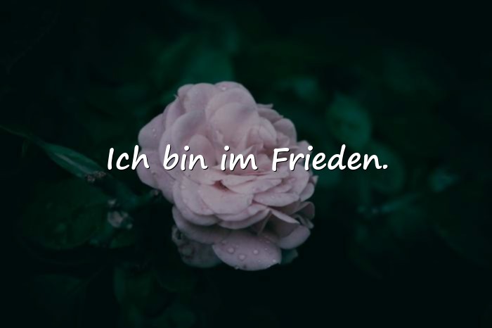Bilder mit status sprüche whatsapp - 9