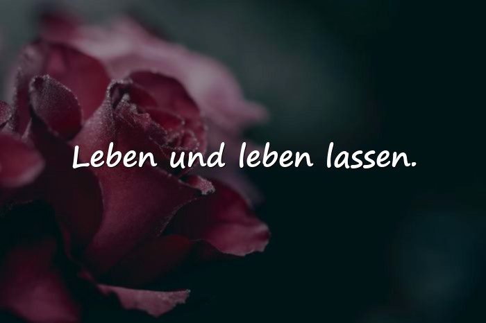 Bilder mit status sprüche whatsapp - 8