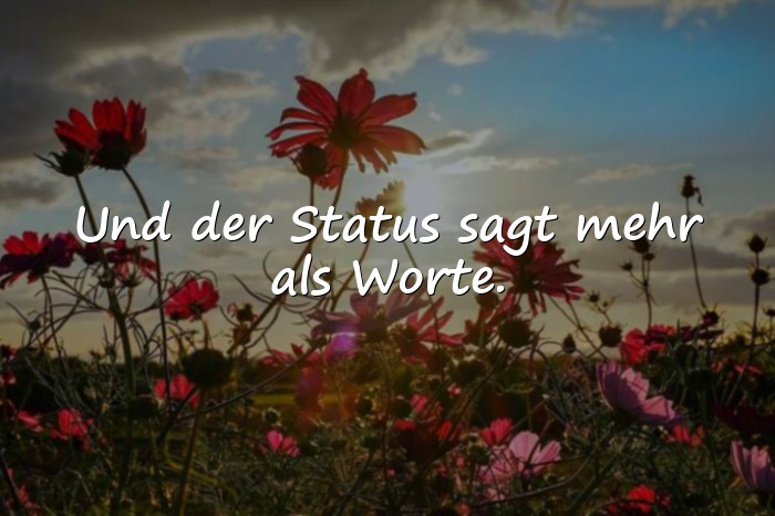 Bilder mit status sprüche whatsapp - 5