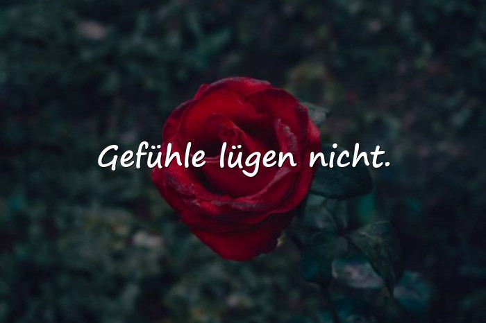 Bilder mit status sprüche zum nachdenken - 8