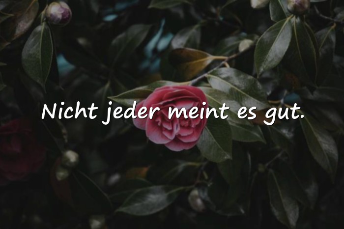 Bilder mit status sprüche zum nachdenken - 22
