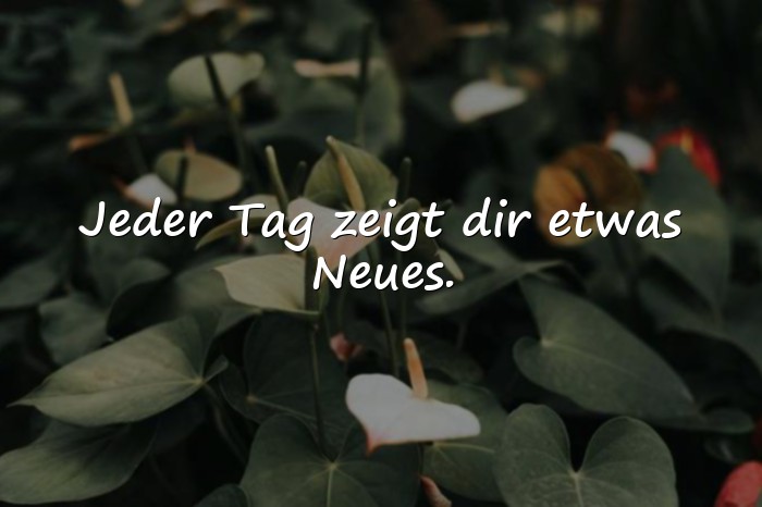 Bilder mit status sprüche zum nachdenken - 9