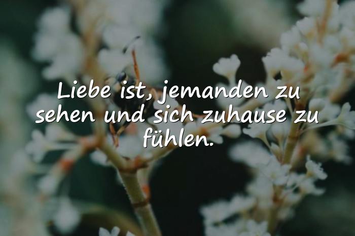 Bilder mit tiefgründige sprüche liebe - 11