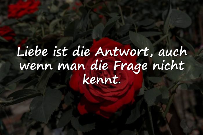 Bilder mit tiefgründige sprüche liebe - 18