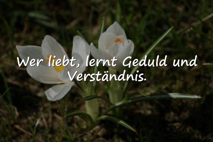 Bilder mit tiefgründige sprüche liebe - 13