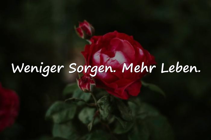 Bilder mit tolle sprüche - 5