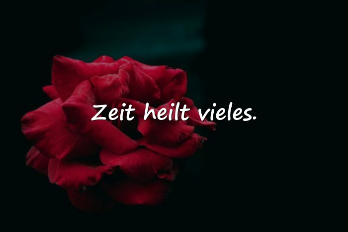 Bilder mit tolle sprüche - 4