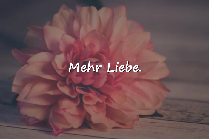 Bilder mit tolle sprüche - 3