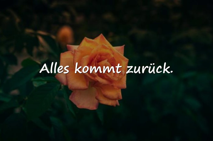 Bilder mit tolle sprüche - 2