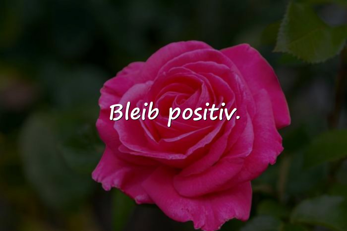 Bilder mit tolle sprüche - 18