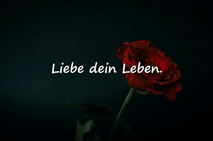 Bilder mit tolle sprüche - 17